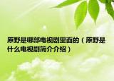 原野是哪部電視劇里面的（原野是什么電視劇簡(jiǎn)介介紹）