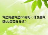氣墊霜是氣墊bb霜嗎（什么是氣墊bb霜簡介介紹）