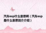 汽車esp什么意思?。ㄆ噀sp是什么意思簡(jiǎn)介介紹）