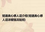 短語真心感人話介紹(短語真心感人話詳細(xì)情況如何)