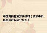 中國真的有菠蘿手機嗎（菠蘿手機真的存在嗎簡介介紹）