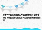 愛奇藝下載的視頻怎么在暴風(fēng)影音播放介紹(愛奇藝下載的視頻怎么在暴風(fēng)影音播放詳細(xì)情況如何)