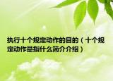 執(zhí)行十個規(guī)定動作的目的（十個規(guī)定動作是指什么簡介介紹）