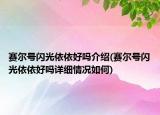 賽爾號(hào)閃光依依好嗎介紹(賽爾號(hào)閃光依依好嗎詳細(xì)情況如何)