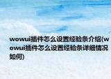 wowui插件怎么設(shè)置經(jīng)驗(yàn)條介紹(wowui插件怎么設(shè)置經(jīng)驗(yàn)條詳細(xì)情況如何)