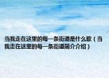 當(dāng)我走在這里的每一條街道是什么歌（當(dāng)我走在這里的每一條街道簡介介紹）