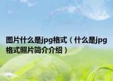 圖片什么是jpg格式（什么是jpg格式照片簡介介紹）