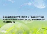 誰能告訴我英雄殺里面（狄仁杰）上的CDKEY?????介紹(誰能告訴我英雄殺里面（狄仁杰）上的CDKEY?????詳細情況如何)
