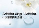 烏雞鲅魚是成語嗎（烏雞鲅魚是什么意思簡(jiǎn)介介紹）