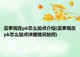 藍(lán)拳現(xiàn)在pk怎么加點(diǎn)介紹(藍(lán)拳現(xiàn)在pk怎么加點(diǎn)詳細(xì)情況如何)
