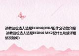 請教各位達人達尼IKON6(MK2配什么功放介紹 請教各位達人達尼IKON6 MK2配什么功放詳細情況如何)