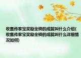 收集傳家寶獎勵坐騎的成就叫什么介紹(收集傳家寶獎勵坐騎的成就叫什么詳細情況如何)
