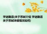 字謎趣話(關(guān)于蘇軾介紹 字謎趣話 關(guān)于蘇軾詳細(xì)情況如何)