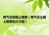 燃?xì)庠鯓泳W(wǎng)上繳費（燃?xì)庠趺淳W(wǎng)上繳費簡介介紹）