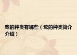 鷺的種類有哪些（鷺的種類簡介介紹）