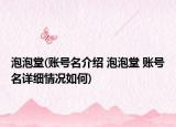 泡泡堂(賬號名介紹 泡泡堂 賬號名詳細(xì)情況如何)