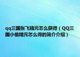 qq三國張飛精元怎么獲得（QQ三國小偷精元怎么得的簡介介紹）