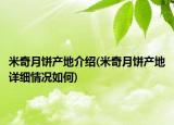 米奇月餅產(chǎn)地介紹(米奇月餅產(chǎn)地詳細情況如何)
