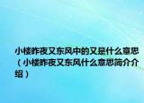 小樓昨夜又東風(fēng)中的又是什么意思（小樓昨夜又東風(fēng)什么意思簡(jiǎn)介介紹）