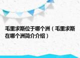 毛里求斯位于哪個(gè)洲（毛里求斯在哪個(gè)洲簡(jiǎn)介介紹）