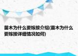 苗木為什么要嫁接介紹(苗木為什么要嫁接詳細(xì)情況如何)
