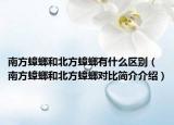南方蟑螂和北方蟑螂有什么區(qū)別（南方蟑螂和北方蟑螂對比簡介介紹）