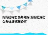 狗狗拉稀怎么辦介紹(狗狗拉稀怎么辦詳細(xì)情況如何)