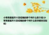 小爸爸里面齊大圣結(jié)婚的那個(gè)叫什么歌介紹(小爸爸里面齊大圣結(jié)婚的那個(gè)叫什么歌詳細(xì)情況如何)