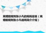 離婚前規(guī)則張小凡的媽媽是誰(shuí)（離婚前規(guī)則張小凡結(jié)局簡(jiǎn)介介紹）