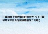 汪峰和章子怡結(jié)婚的時候多大了?（汪峰和章子怡什么時候結(jié)婚的簡介介紹）