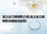 龍之谷幾級轉職介紹(龍之谷幾級轉職詳細情況如何)