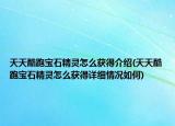 天天酷跑寶石精靈怎么獲得介紹(天天酷跑寶石精靈怎么獲得詳細(xì)情況如何)