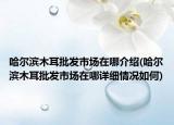 哈爾濱木耳批發(fā)市場(chǎng)在哪介紹(哈爾濱木耳批發(fā)市場(chǎng)在哪詳細(xì)情況如何)