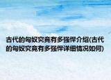 古代的匈奴究竟有多強(qiáng)悍介紹(古代的匈奴究竟有多強(qiáng)悍詳細(xì)情況如何)