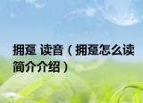 擁躉 讀音（擁躉怎么讀簡介介紹）