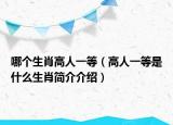 哪個(gè)生肖高人一等（高人一等是什么生肖簡(jiǎn)介介紹）