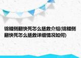錦鯉側(cè)翻快死怎么拯救介紹(錦鯉側(cè)翻快死怎么拯救詳細(xì)情況如何)