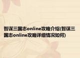 智謀三國志online攻略介紹(智謀三國志online攻略詳細(xì)情況如何)