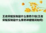 王者榮耀反制是什么意思介紹(王者榮耀反制是什么意思詳細情況如何)