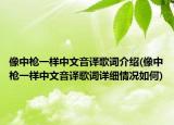 像中槍一樣中文音譯歌詞介紹(像中槍一樣中文音譯歌詞詳細(xì)情況如何)