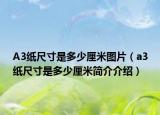 A3紙尺寸是多少厘米圖片（a3紙尺寸是多少厘米簡介介紹）