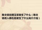 陳文錦在隕玉里發(fā)生了什么（陳文錦進(jìn)入隕石后發(fā)生了什么簡介介紹）