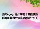 酒吧agogo是干嘛的（芭提雅酒吧agogo是什么意思簡介介紹）