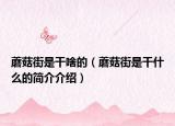 蘑菇街是干啥的（蘑菇街是干什么的簡介介紹）