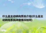 什么是主動(dòng)轉(zhuǎn)向系統(tǒng)介紹(什么是主動(dòng)轉(zhuǎn)向系統(tǒng)詳細(xì)情況如何)