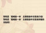 想知道‘聰明的一休’主題歌的中文歌詞介紹(想知道‘聰明的一休’主題歌的中文歌詞詳細情況如何)