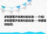 求和甜蜜聲優(yōu)類似的動漫~~介紹(求和甜蜜聲優(yōu)類似的動漫~~詳細(xì)情況如何)