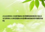小寶寶快快長(zhǎng)大你是我的未來(lái)是哪首歌的歌詞介紹(小寶寶快快長(zhǎng)大你是我的未來(lái)是哪首歌的歌詞詳細(xì)情況如何)
