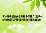 求一部電視劇關(guān)于抱錯(cuò)小孩的介紹(求一部電視劇關(guān)于抱錯(cuò)小孩的詳細(xì)情況如何)