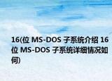 16(位 MS-DOS 子系統(tǒng)介紹 16 位 MS-DOS 子系統(tǒng)詳細(xì)情況如何)